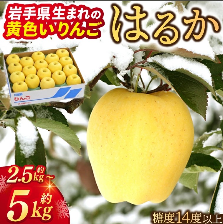 紫波町返礼品
